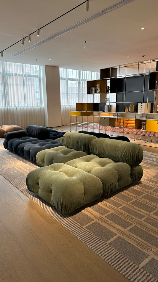 Chameleon Sofa